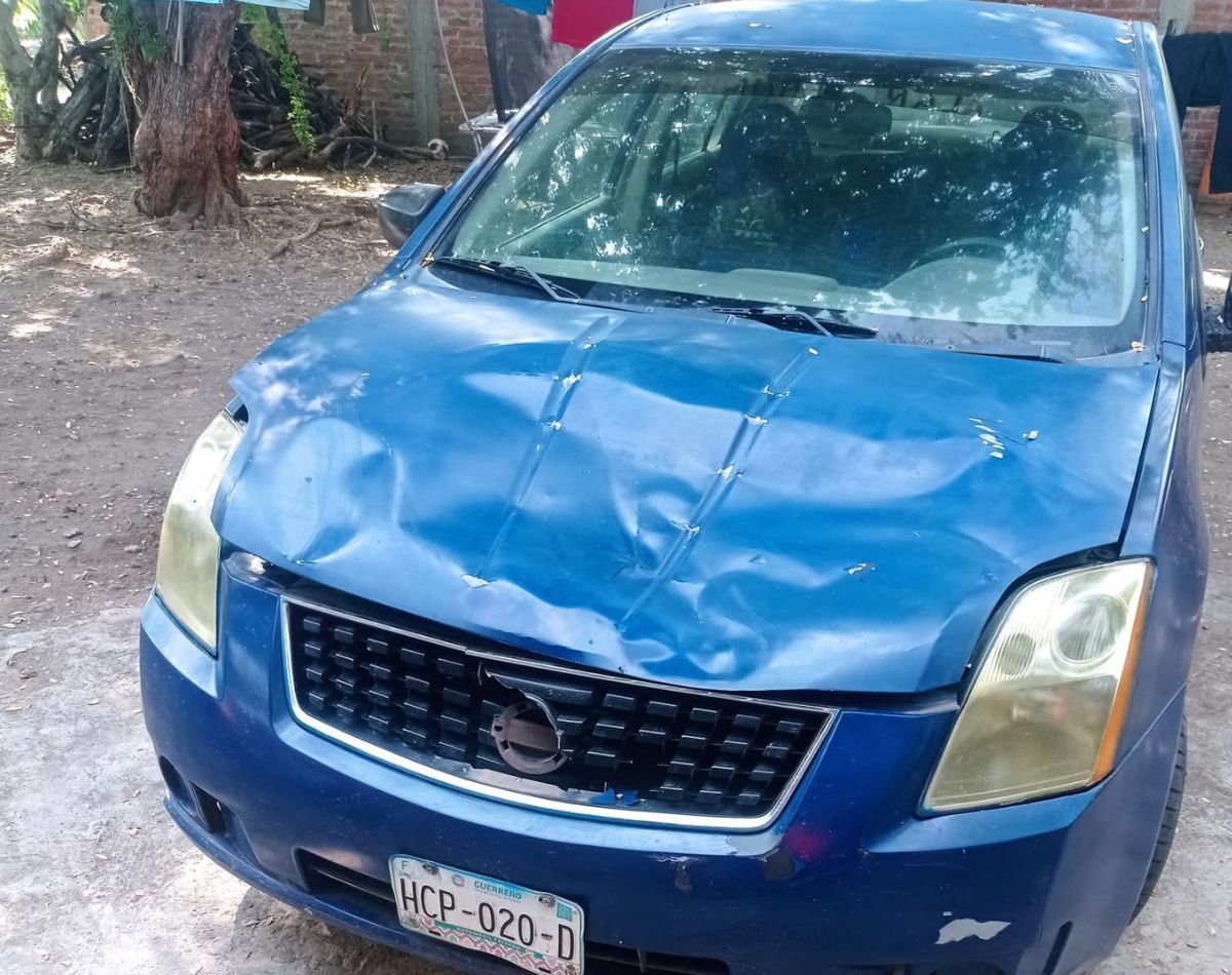 danos de ganado a autos