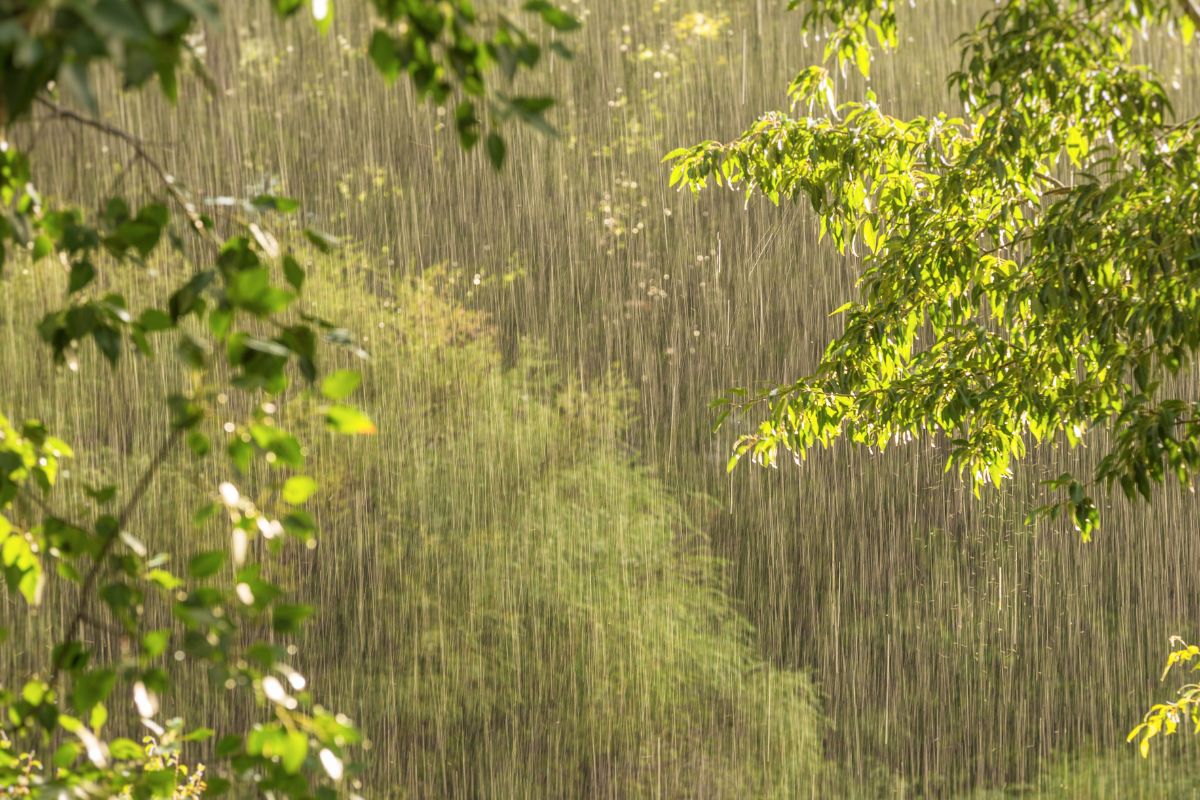 lluvia