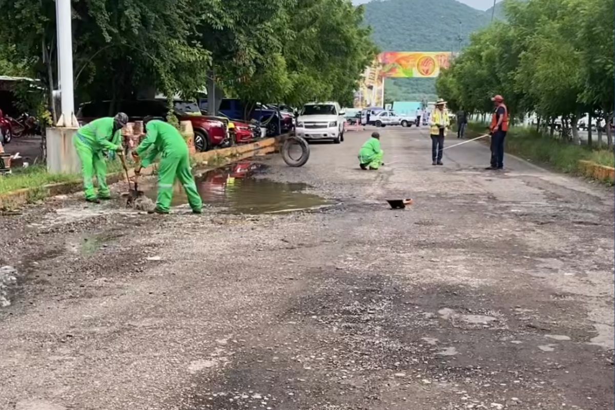 reabilitacion altamitano