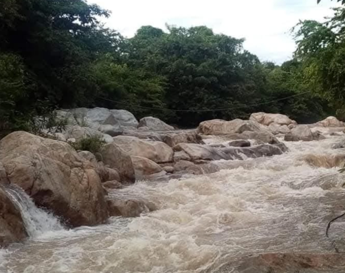 tecpan1
