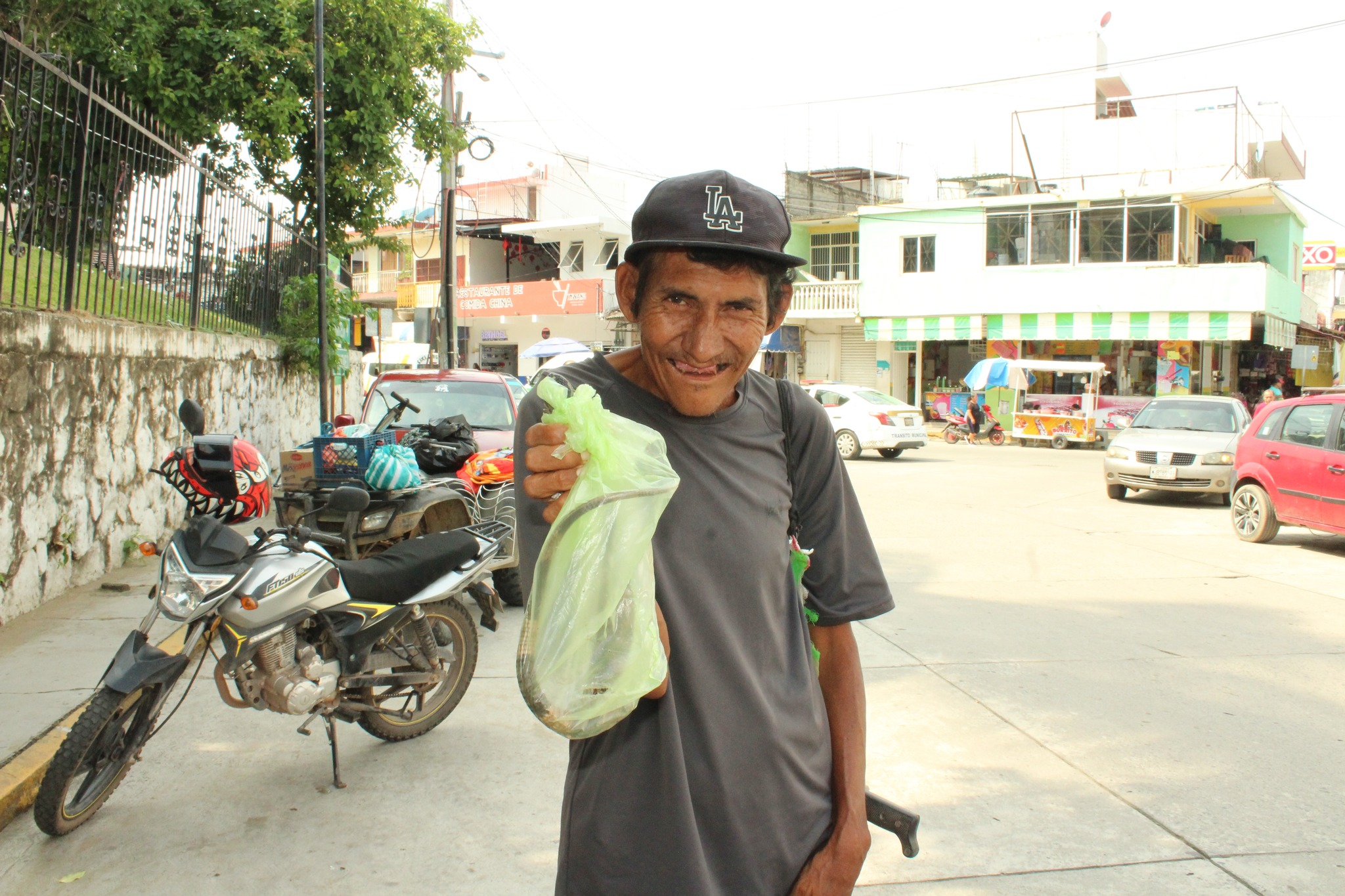 vende iguanas