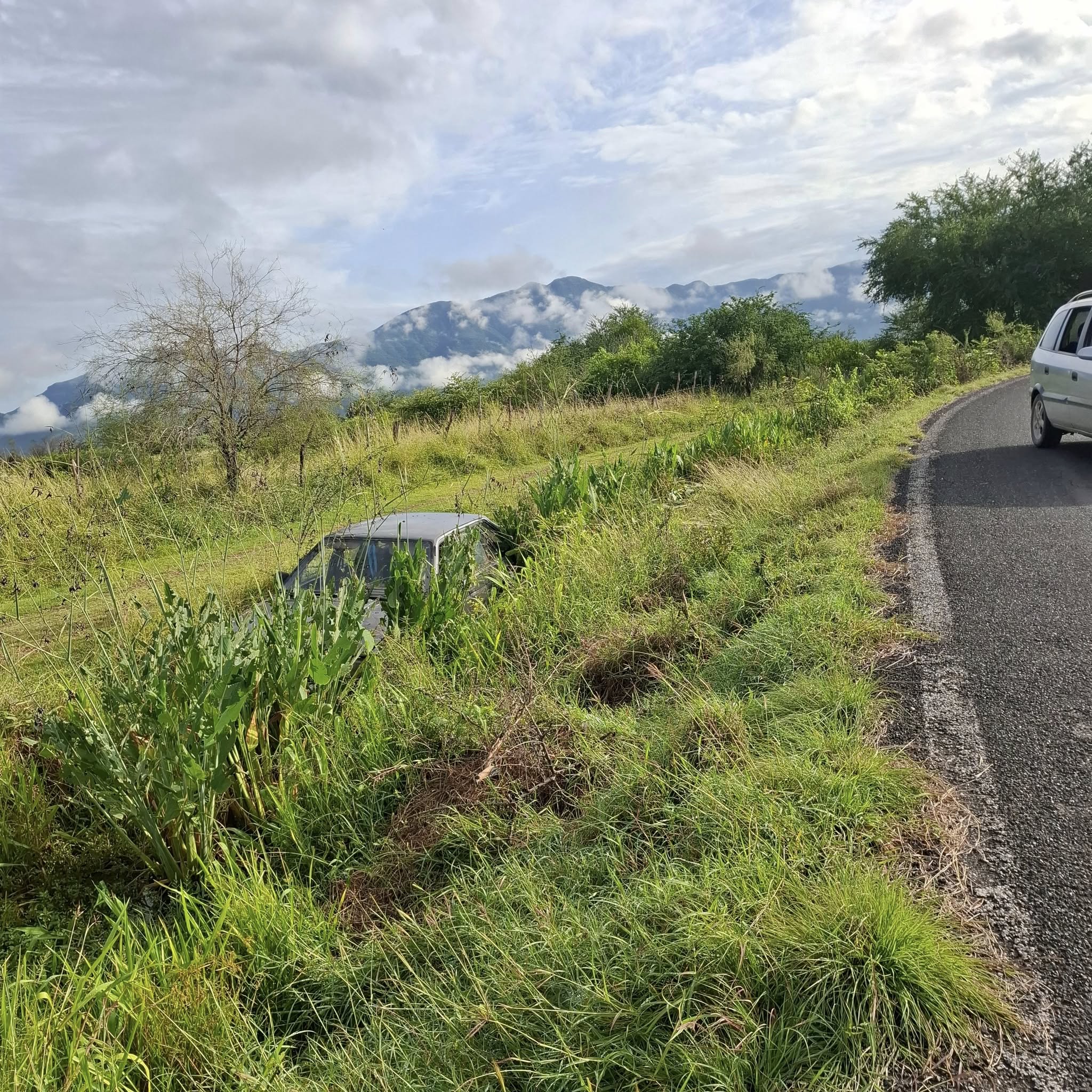 cae vehiculo