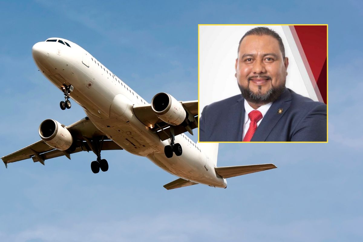 diputado avion
