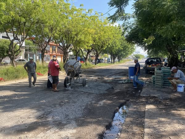 bacheo punga