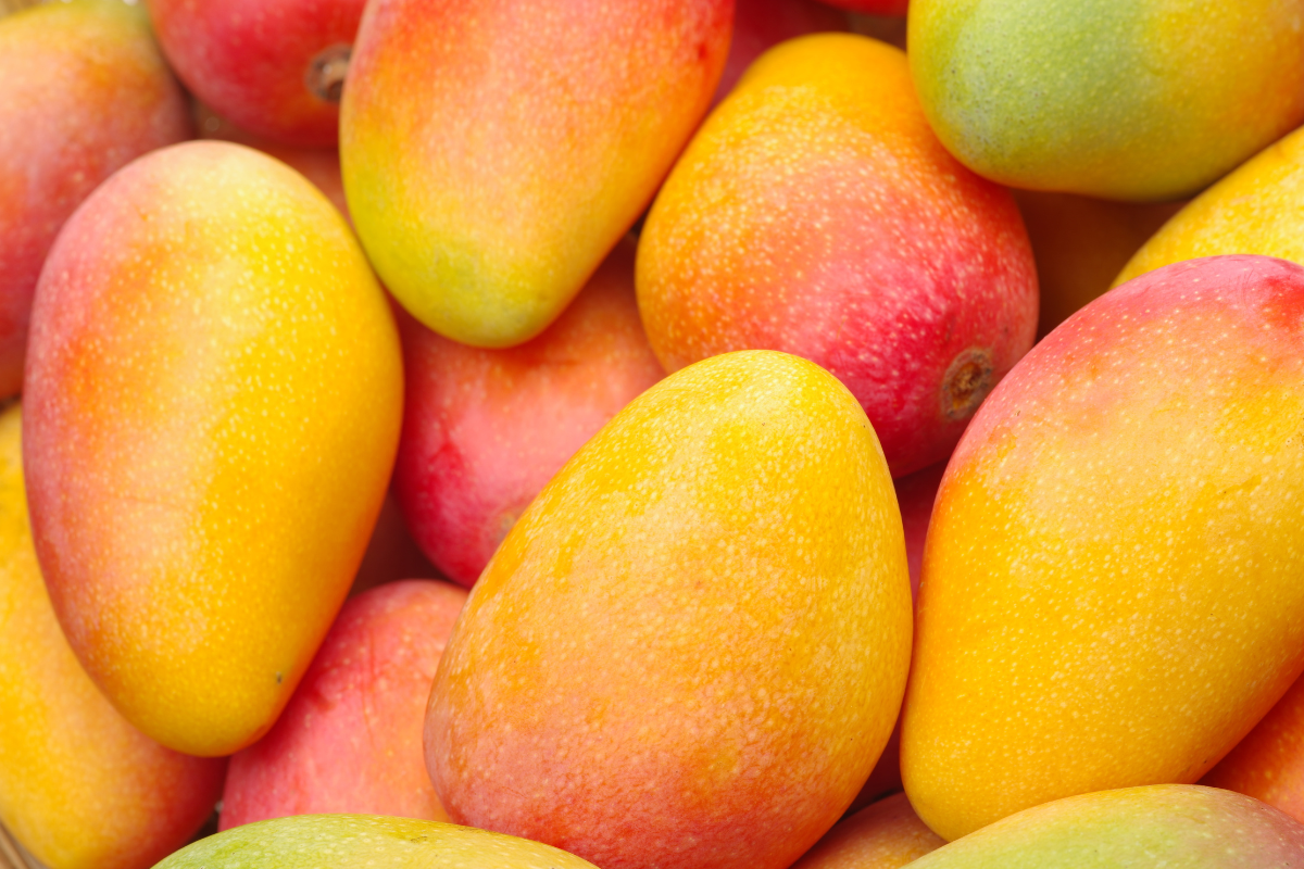 mangos guerrero