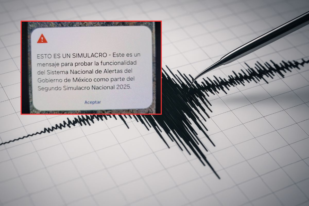 simulacro 5
