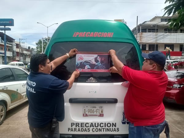 transito punga
