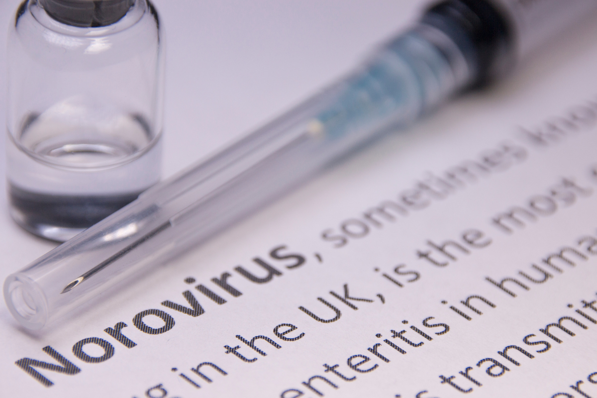 norovirus 2