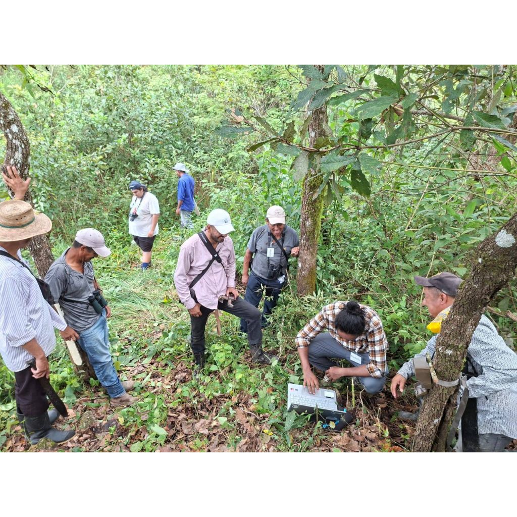 biodiversidad-de-Guerrero