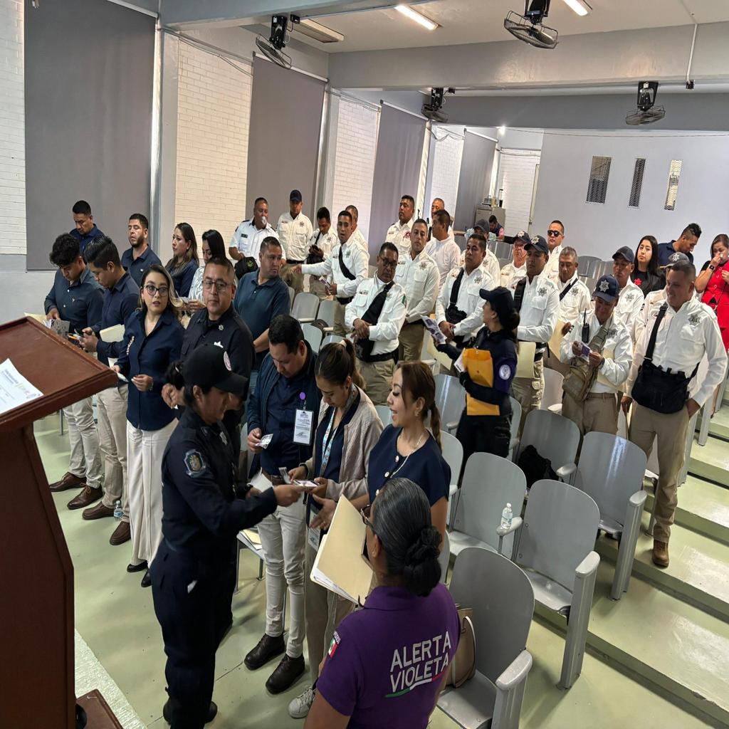 Teloloapan-seguridad