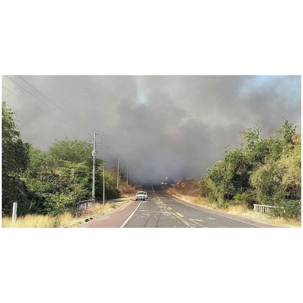 incendio-de-pastizales-en-Tierra-Caliente