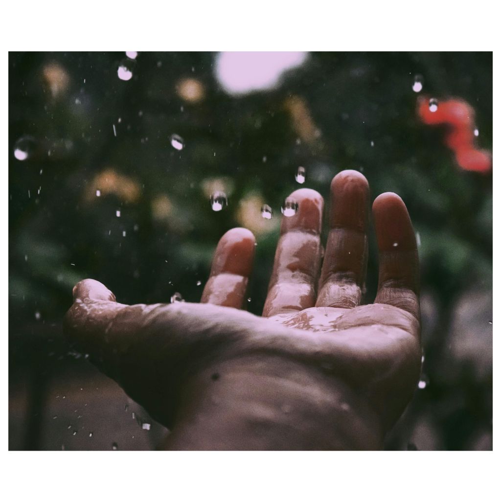 químicos-eternos-contaminación