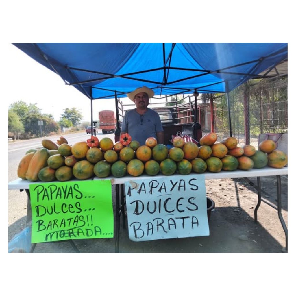 sembradores-de-campo-tierra-caliente