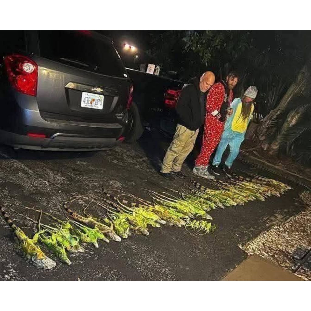 ola-de-frío-en-Florida